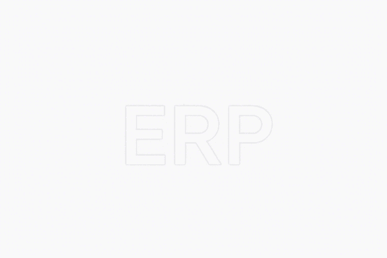 缩写erp是什么？如何正确理解和应用缩写erp？